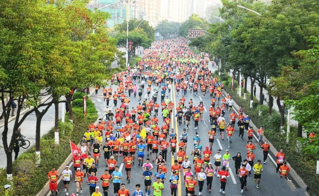 香港免费马资料最准的网站