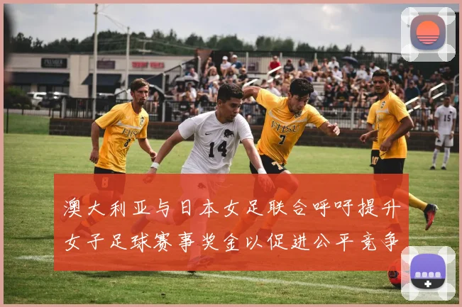 澳大利亚与日本女足联合呼吁提升女子足球赛事奖金以促进公平竞争