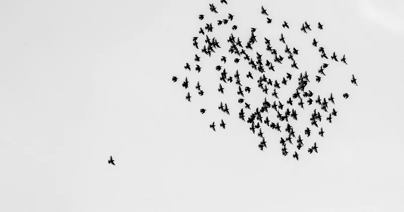 Quels sont les inconvénients d'être un entrepreneur individuel ?