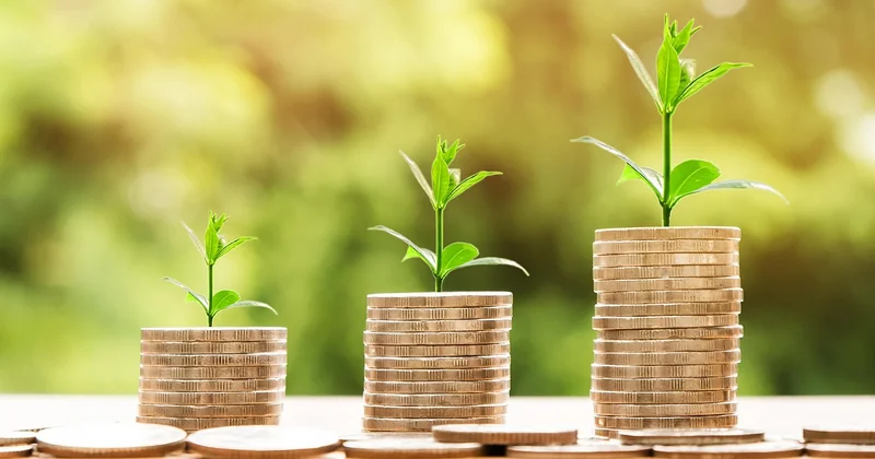 Croissance interne ou croissance externe : un choix qui engage votre trésorerie plus que votre ambition